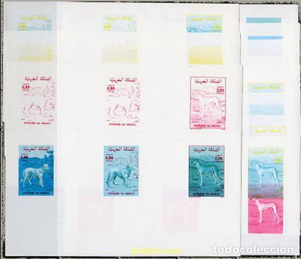 Sellos: 219609 MNH MARRUECOS 1984 PERROS DE RAZA