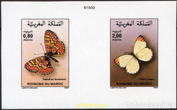 Sellos: 219537 MNH MARRUECOS 1985 MARIPOSAS