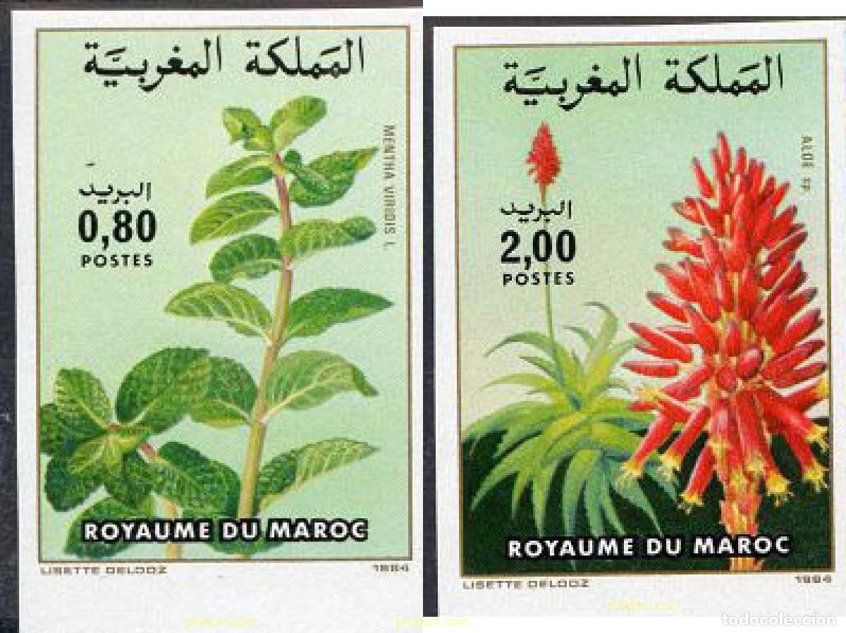 Sellos: 7098 MNH MARRUECOS 1984 FLORA MARROQUI