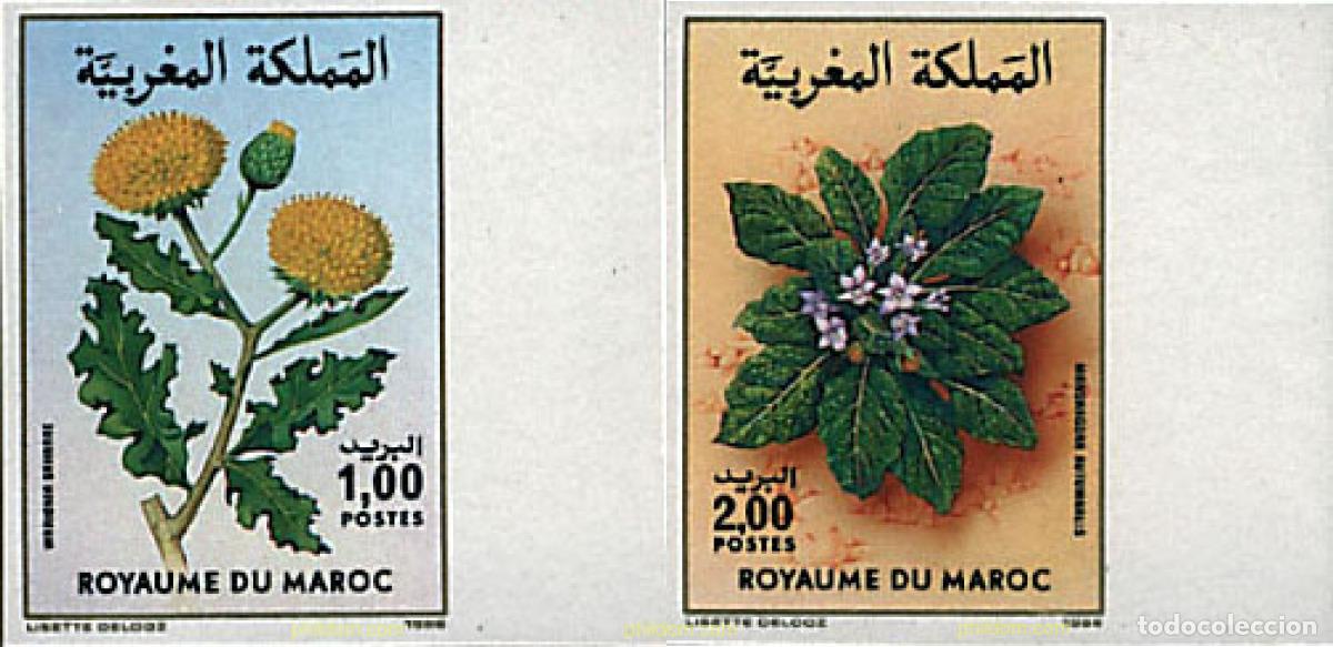 Sellos: 13076 MNH MARRUECOS 1986 FLORA MARROQUI
