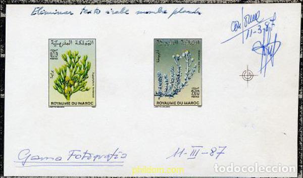 Sellos: 219519 MNH MARRUECOS 1987 FLORA MARROQUI