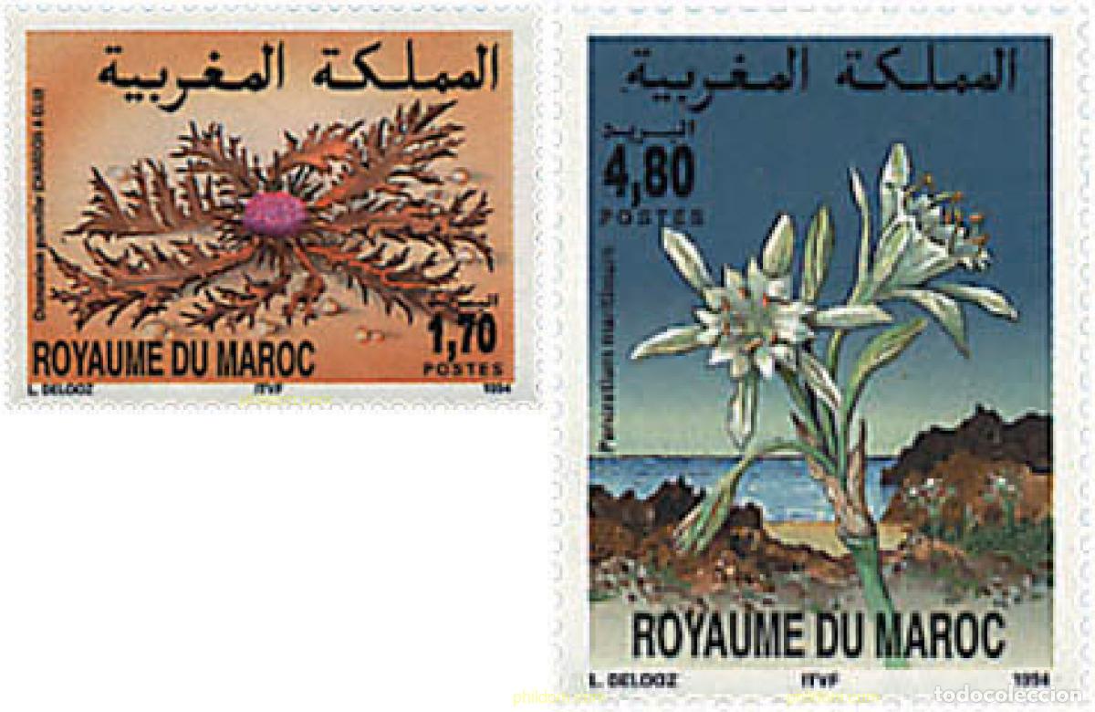 Sellos: 95488 MNH MARRUECOS 1994 FLORA MARROQUI
