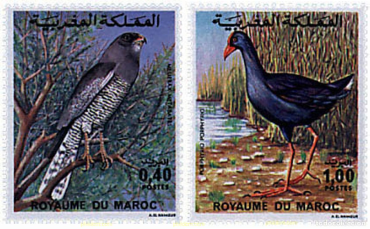 Sellos: 53361 MNH MARRUECOS 1976 AVES