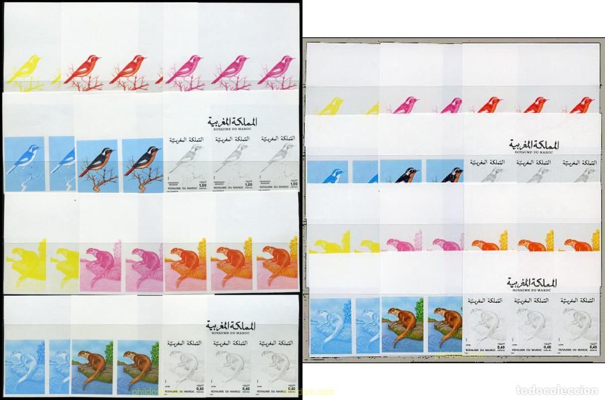Sellos: 219267 MNH MARRUECOS 1979 FAUNA