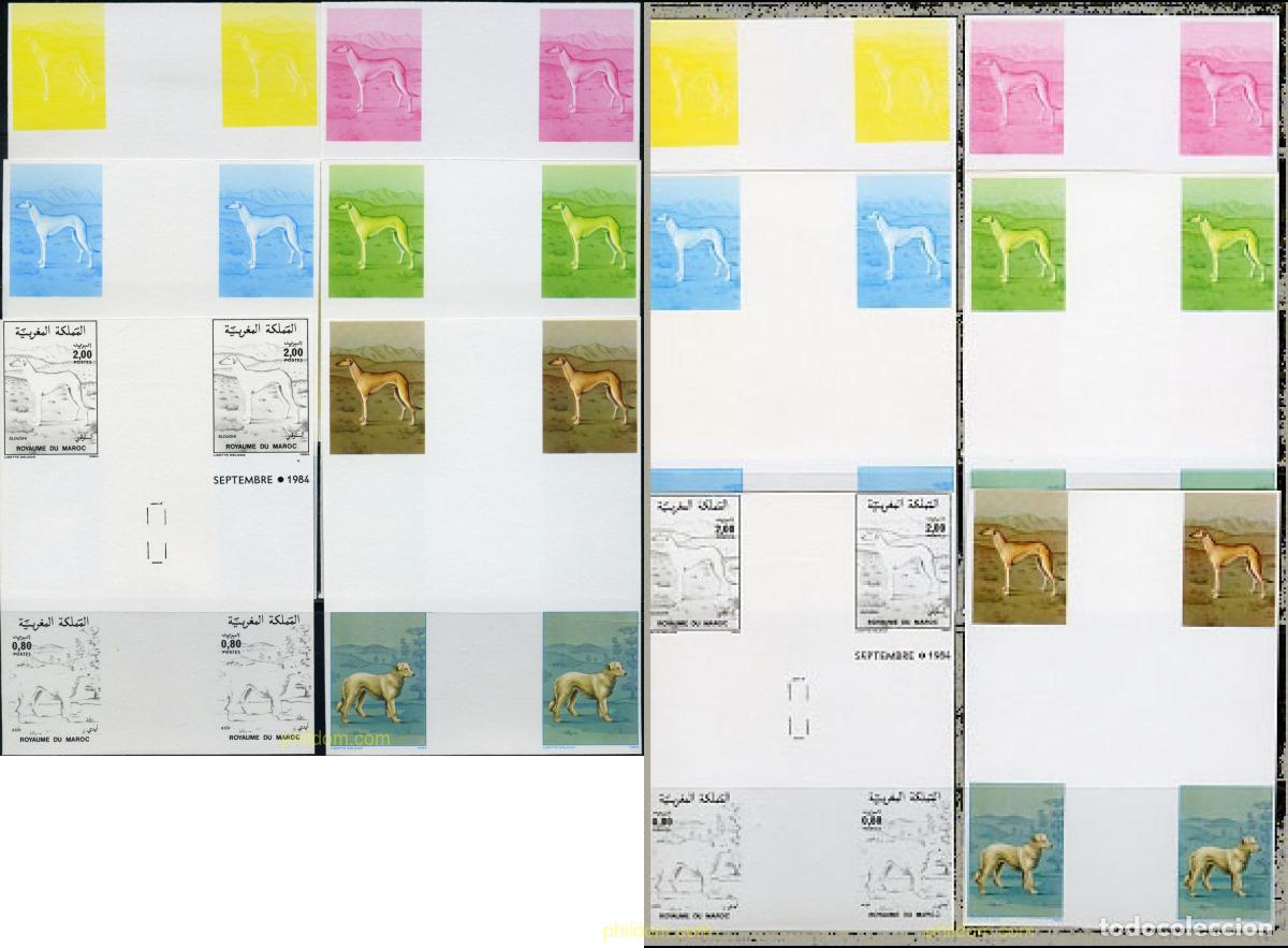 Sellos: 219611 MNH MARRUECOS 1984 PERROS DE RAZA