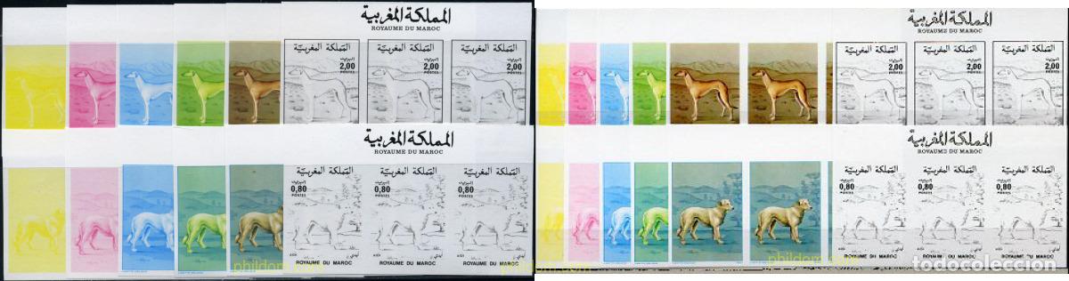 Sellos: 219612 MNH MARRUECOS 1984 PERROS DE RAZA