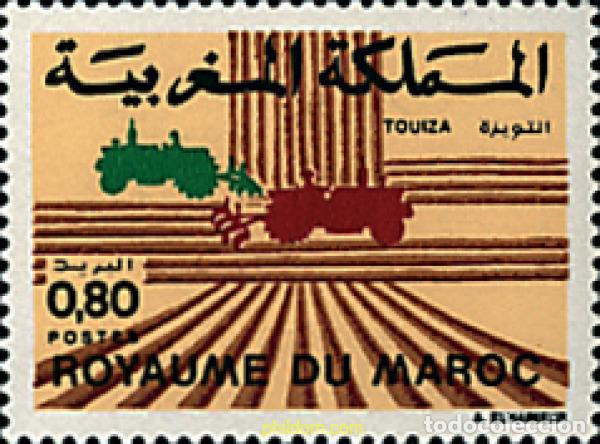 Sellos: 44031 MNH MARRUECOS 1983 TOUIZA. ZONA EXPERIMENTAL CONTRA LA DESERTIZACION