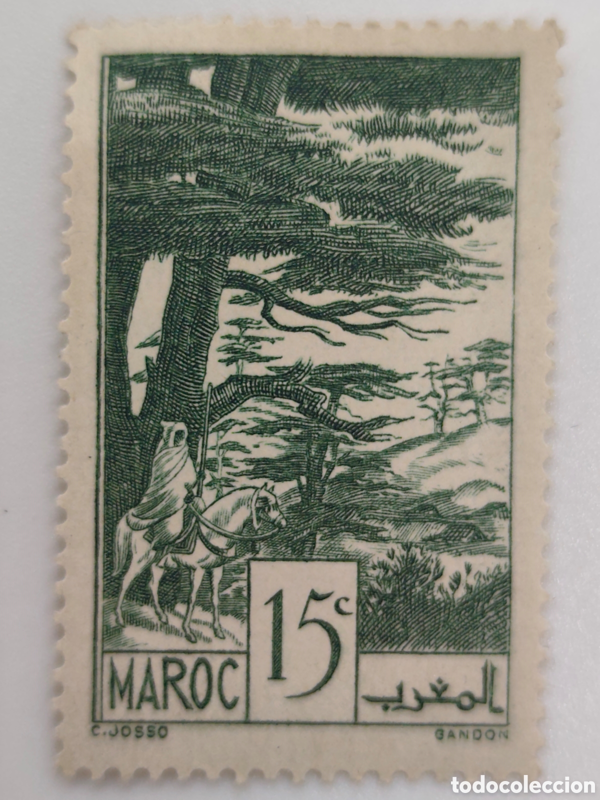 Sellos: 1939 - MARRUECOS - BOSQUE DE CEDROS IFRANE