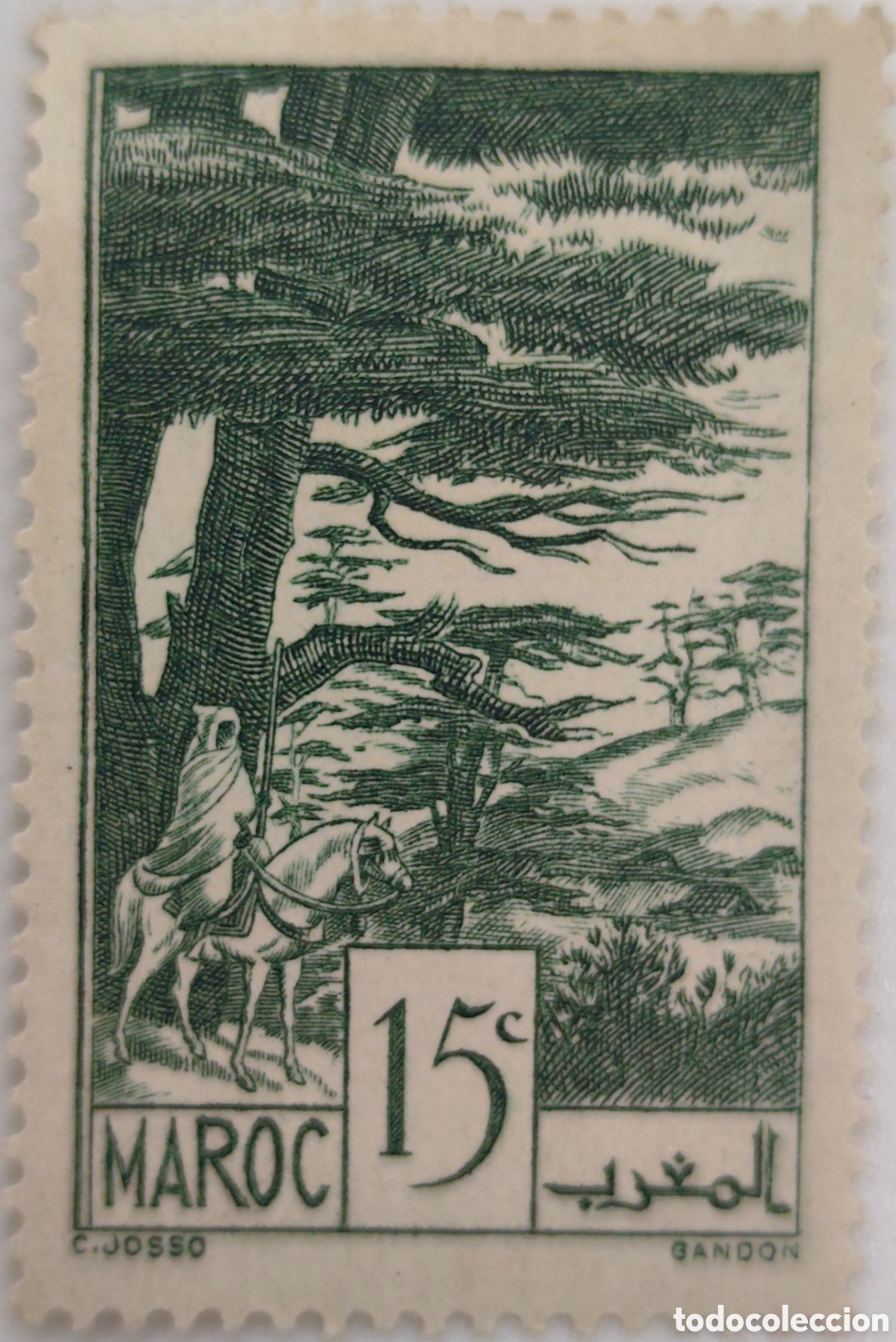 Sellos: 1939 - MARRUECOS - BOSQUE DE CEDROS IFRANE