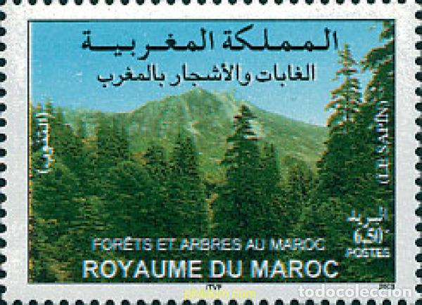 Sellos: 126801 MNH MARRUECOS 2003 FLORA