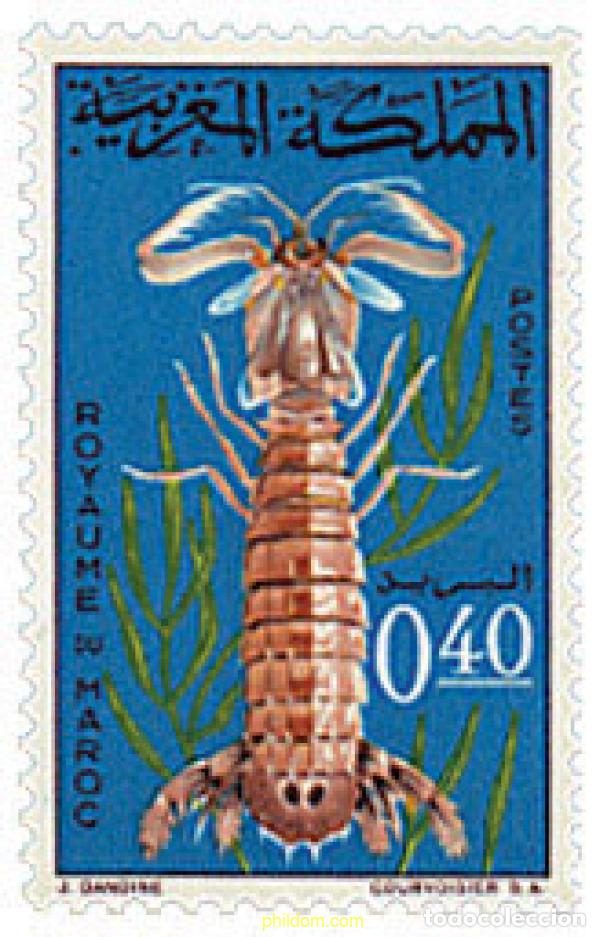 Sellos: 362354 MNH MARRUECOS 1965 CRUSTACEOS