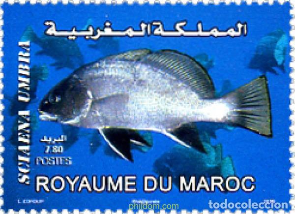 Sellos: 258220 MNH MARRUECOS 2010 PEZ