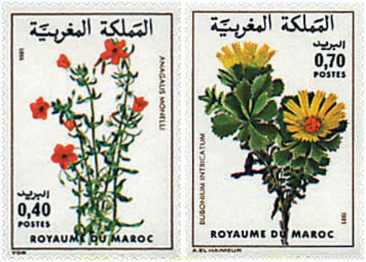 Sellos: 95476 MNH MARRUECOS 1981 FLORA MARROQUI