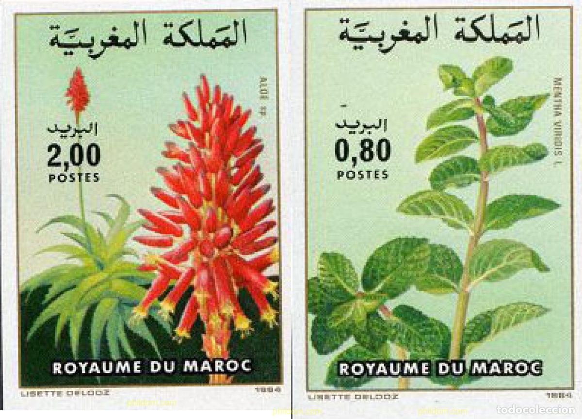 Sellos: 7098 MNH MARRUECOS 1984 FLORA MARROQUI