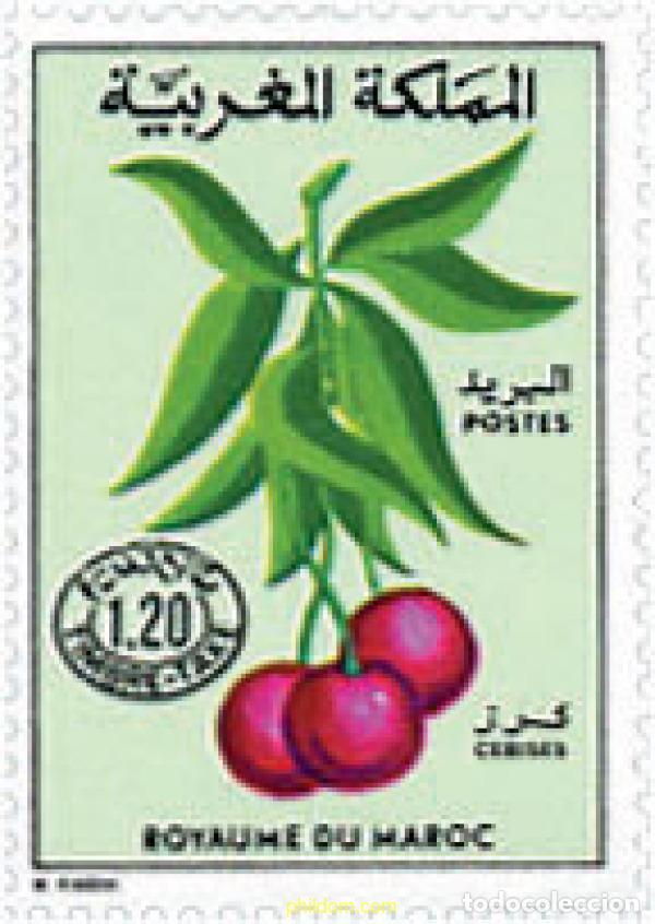 Sellos: 53753 MNH MARRUECOS 1984 TASAS