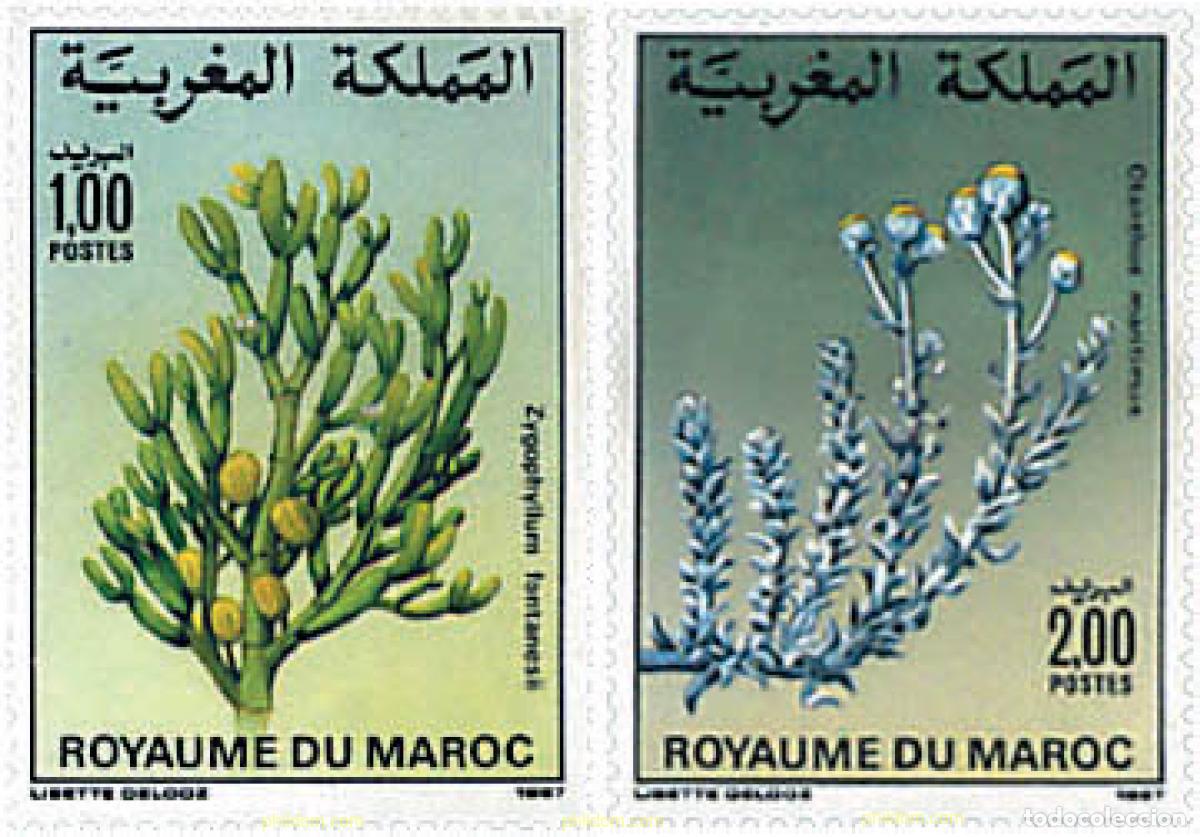 Sellos: 95479 MNH MARRUECOS 1987 FLORA MARROQUI