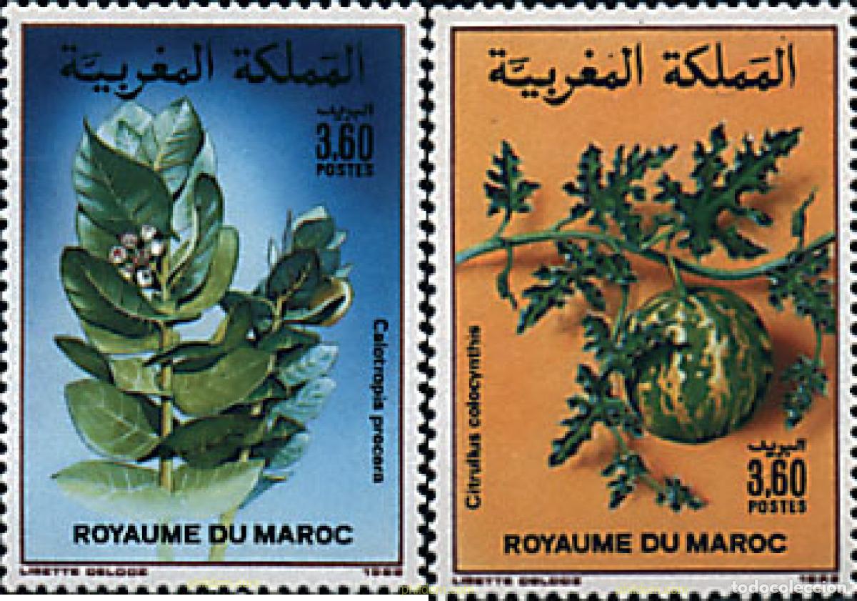 Sellos: 95466 MNH MARRUECOS 1988 FLORES