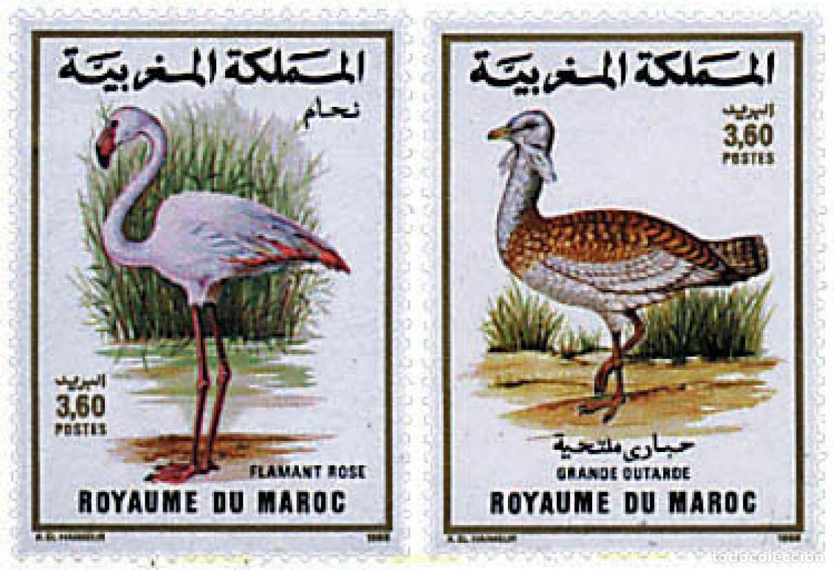 Sellos: 53620 MNH MARRUECOS 1988 AVES