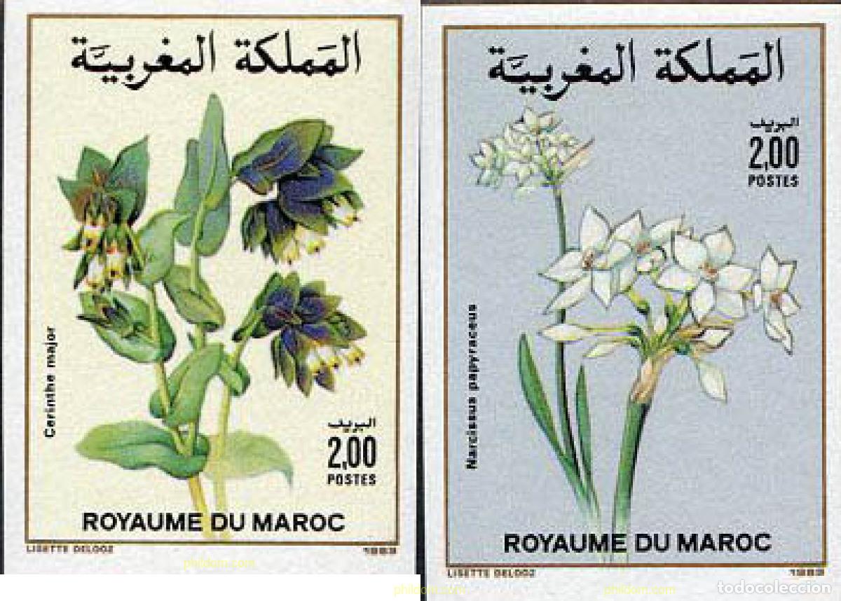 Sellos: 13078 MNH MARRUECOS 1989 FLORA MARROQUI