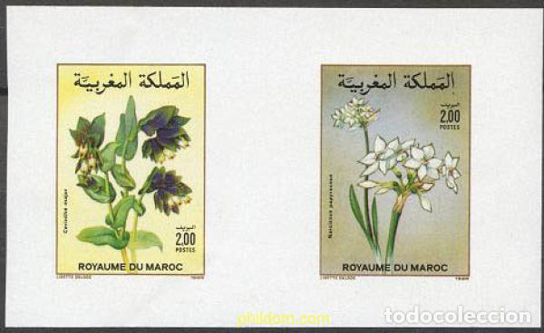 Sellos: 219016 MNH MARRUECOS 1989 FLORA MARROQUI