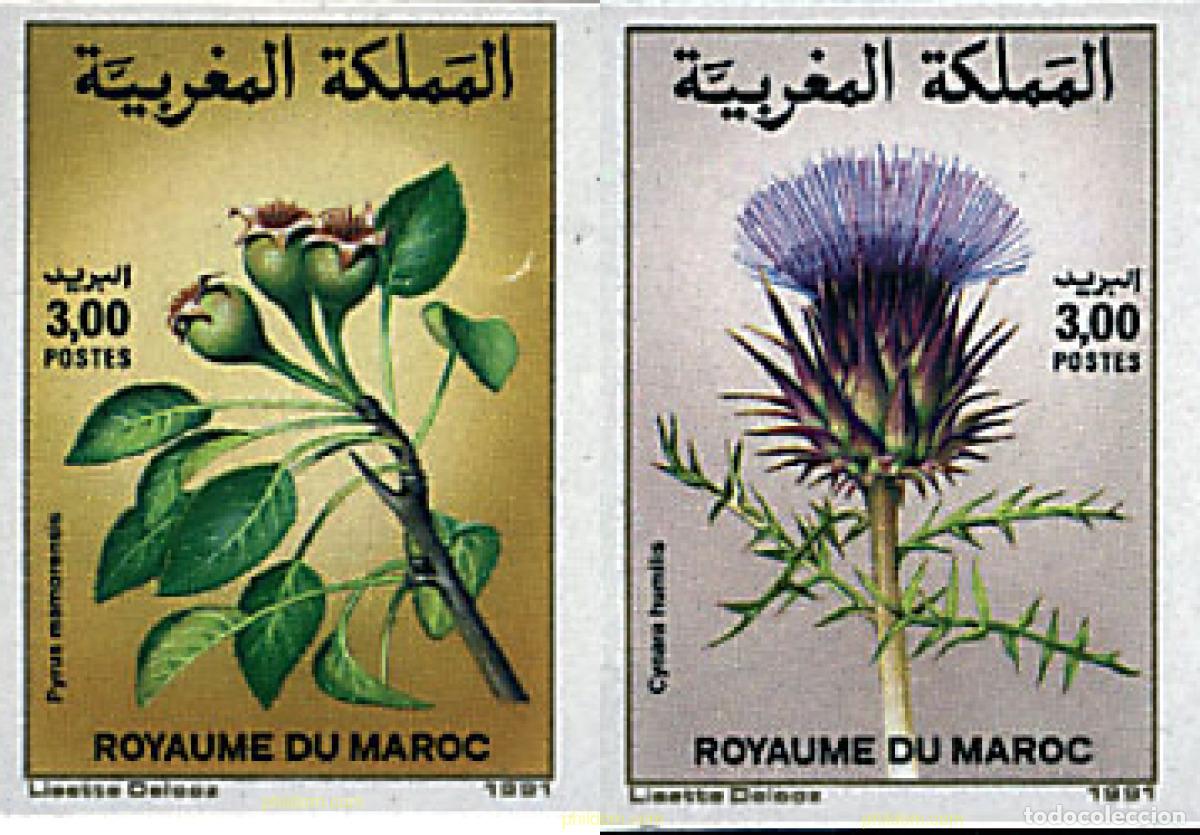 Sellos: 13088 MNH MARRUECOS 1991 FLORA MARROQUI