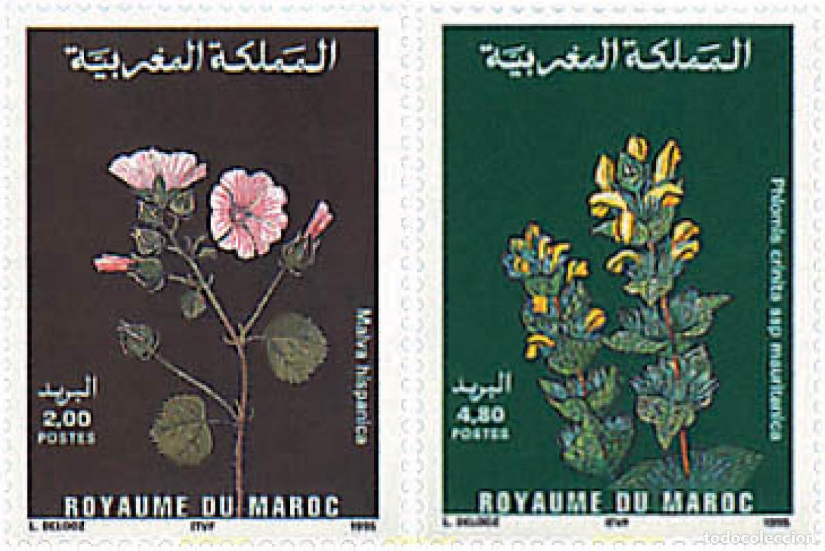 Sellos: 95489 MNH MARRUECOS 1995 FLORA MARROQUI