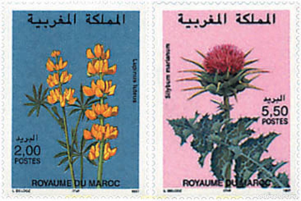 Sellos: 95491 MNH MARRUECOS 1997 FLORA MARROQUI