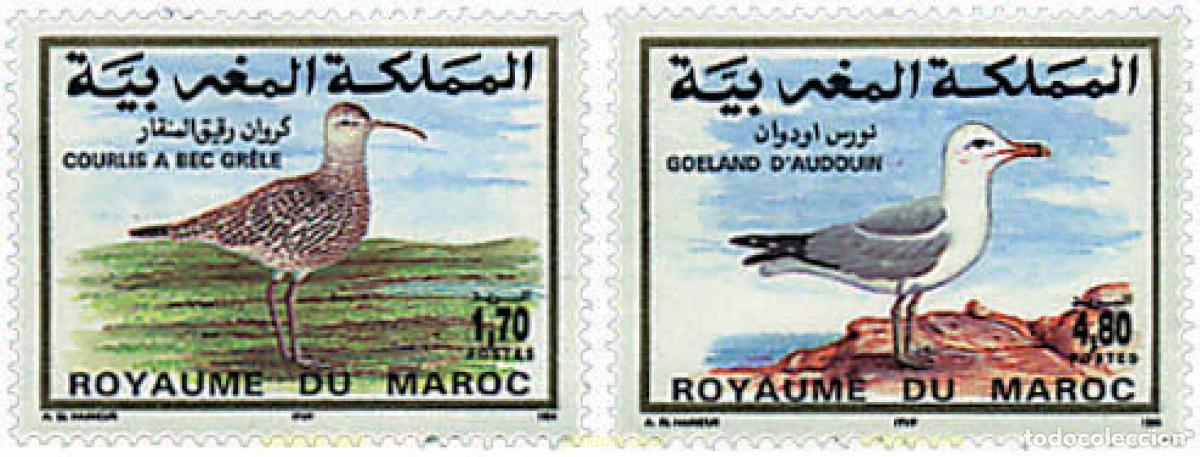 Sellos: 36778 MNH MARRUECOS 1994 FAUNA. AVES