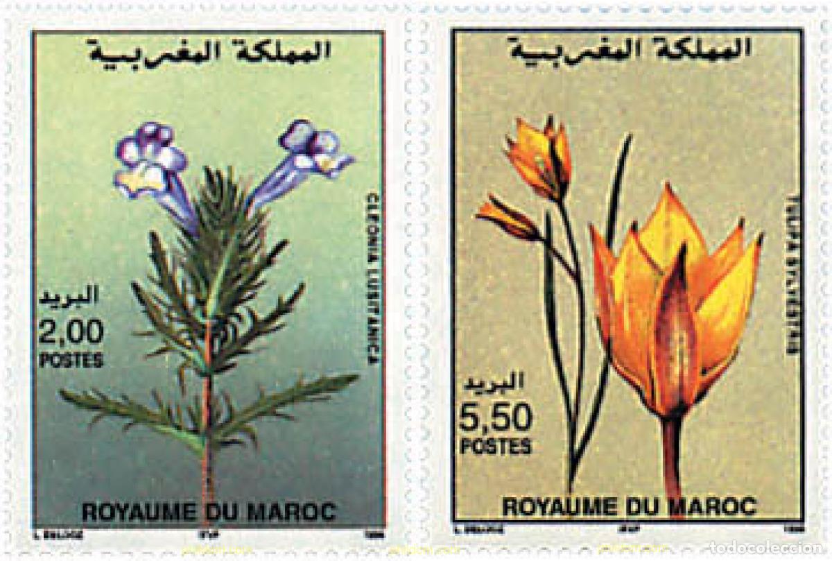 Sellos: 95490 MNH MARRUECOS 1996 FLORA MARROQUI