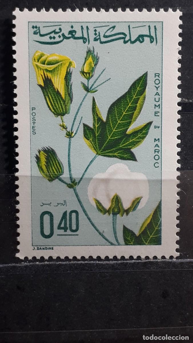 Sellos: MARRUECOS. A&Ntilde;O 1967. **. YVERT 531