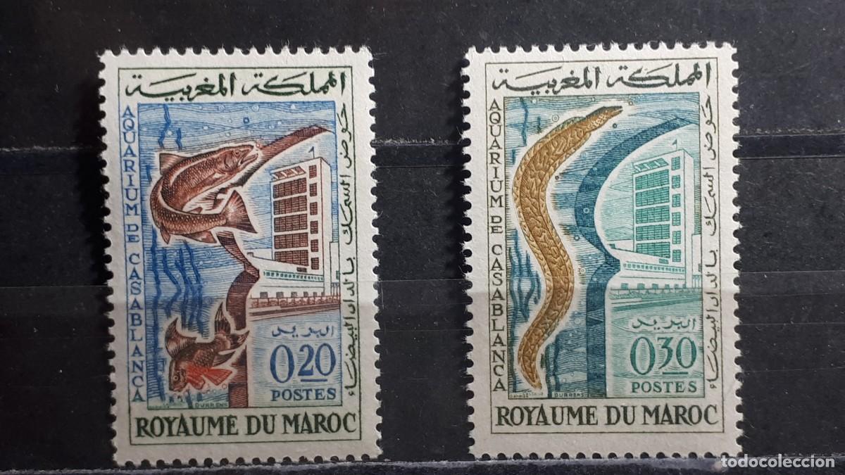 Sellos: MARRUECOS. A&Ntilde;O 1962. **. YVERT 448/9