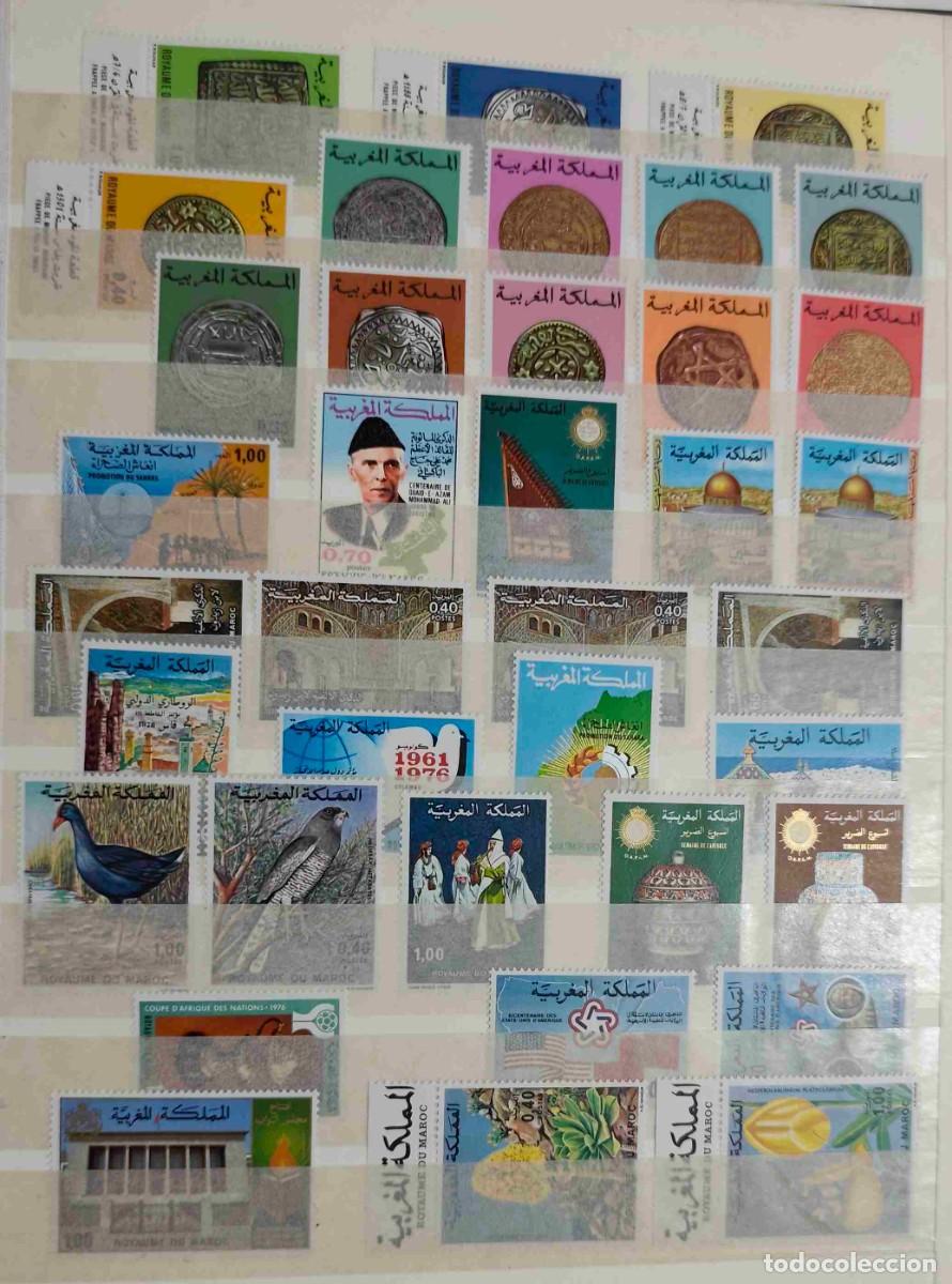 Sellos: LOTE DE 37 SELLOS NUEVOS DE MARRUECOS - MONEDAS, FAUNA, FLORA, ETC - LOS DE LA FOTO