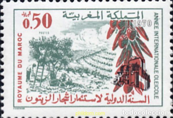 Sellos: 196836 MNH MARRUECOS 1970 ACEITE DE OLIVA