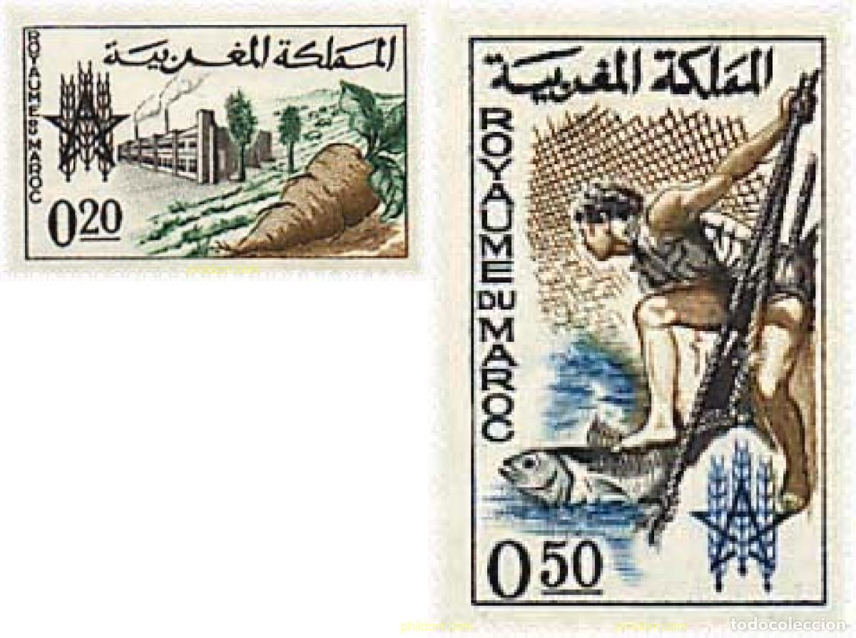 Sellos: 37032 MNH MARRUECOS 1963 CAMPA&Ntilde;A MUNDIAL CONTRA EL HAMBRE