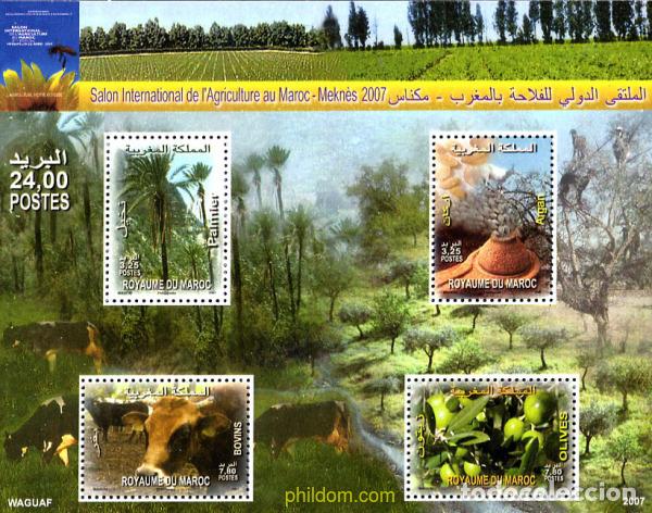 Sellos: 236235 MNH MARRUECOS 2007