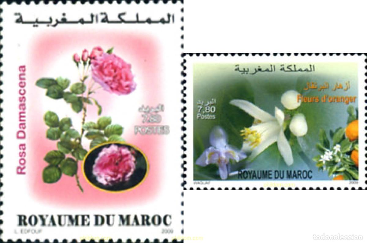 Sellos: 250997 MNH MARRUECOS 2010 FLORES