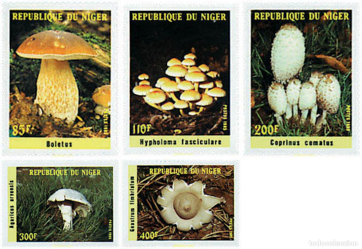 Sellos: 37534 MNH NIGER 1985 SETAS