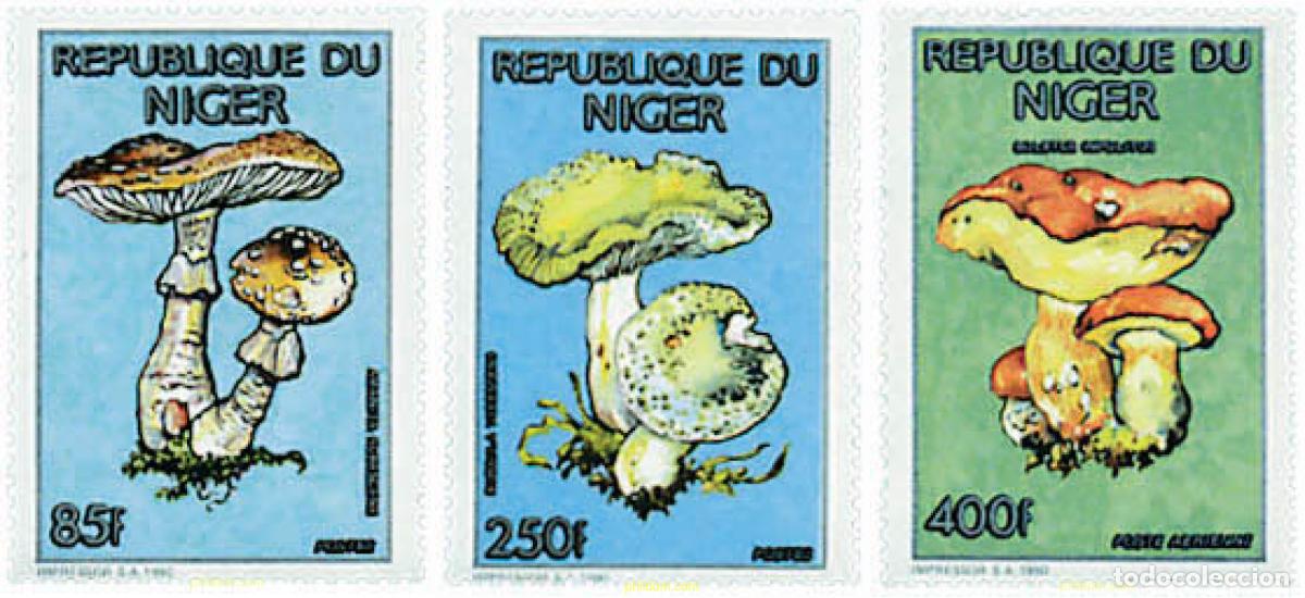 Sellos: 230569 MNH NIGER 1991 MARIPOSAS Y SETAS