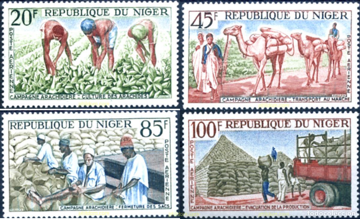 Sellos: 44924 MNH NIGER 1963 CAMPA&Ntilde;A DEL CACAHUETE