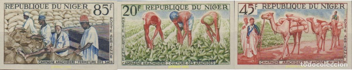 Sellos: 577203 MNH NIGER 1963 CAMPA&Ntilde;A DEL CACAHUETE