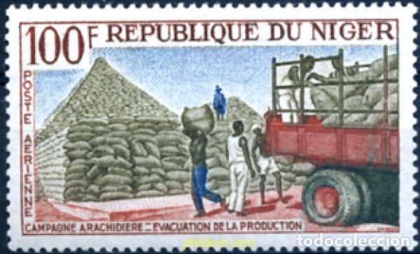 Sellos: 588387 MNH NIGER 1963 CAMPA&Ntilde;A DEL CACAHUETE