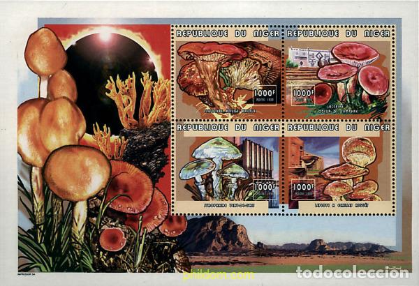 Sellos: 10366 MNH NIGER 1999 SETAS Y ARQUITECTURA