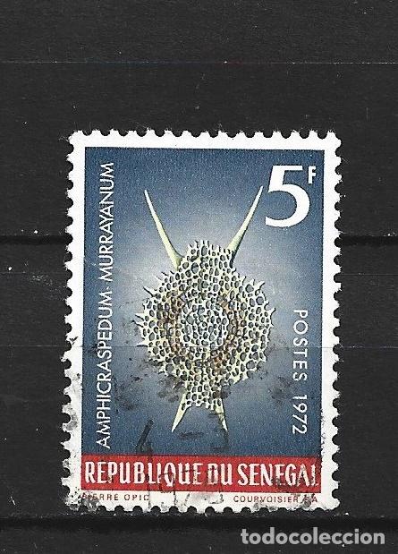 Sellos: SENEGAL YVERT NUM. 377 USADO - Foto 1