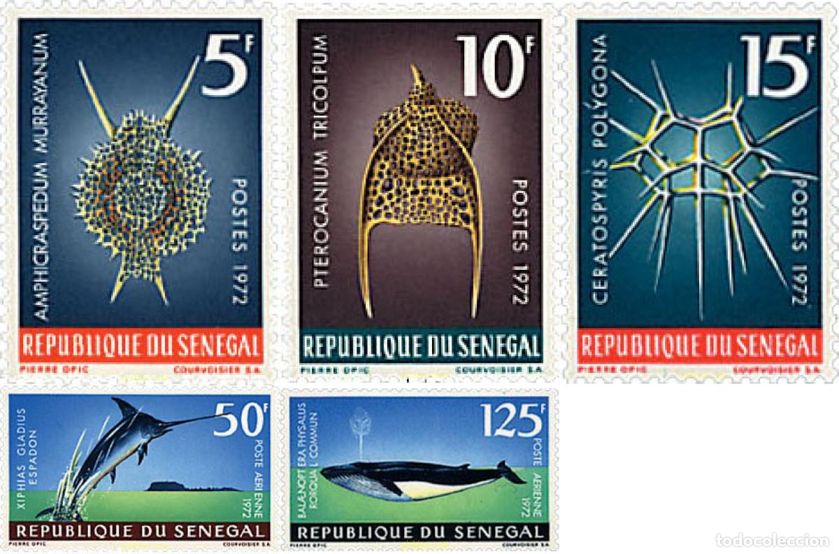 Selos: 30013 MNH SENEGAL 1972 FAUNA MARINA