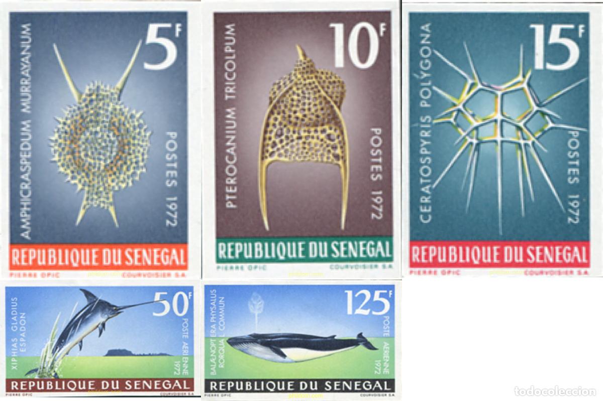 Selos: 151411 MNH SENEGAL 1972 FAUNA MARINA