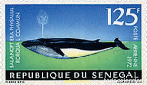 Selos: 244173 MNH SENEGAL 1972 FAUNA MARINA