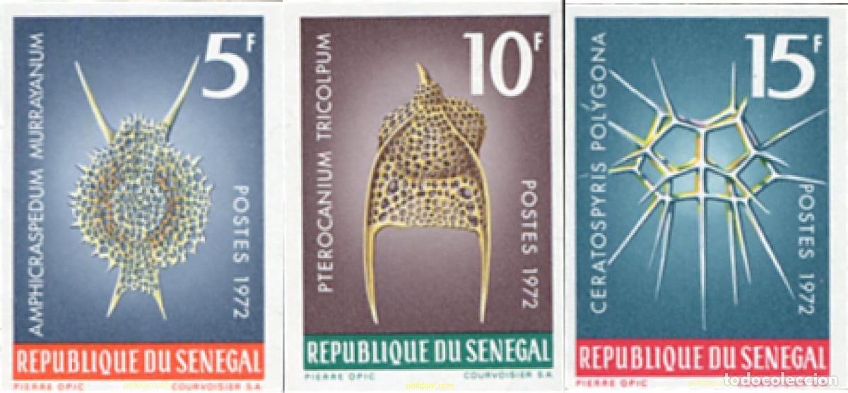 Selos: 674687 MNH SENEGAL 1972 FAUNA MARINA