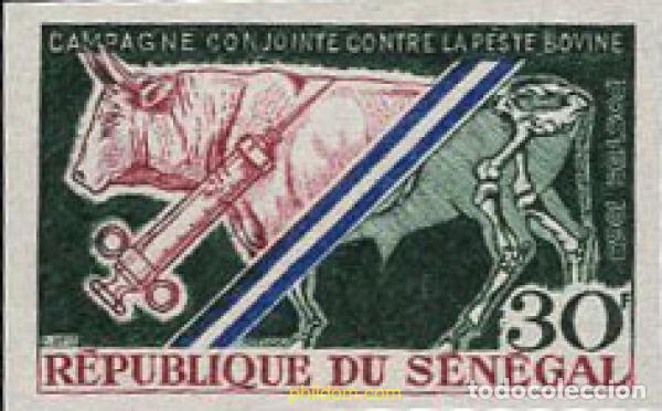 Sellos: 151409 MNH SENEGAL 1968 CAMPA&Ntilde;A CONTRA LA PESTE BOVINA.