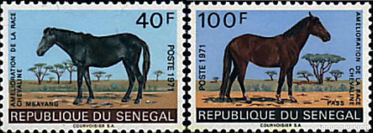 Sellos: 34937 MNH SENEGAL 1971 CABALLOS