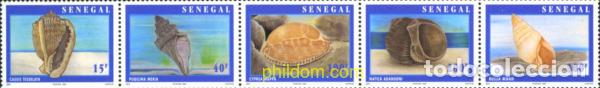 Sellos: 151466 MNH SENEGAL 1997 CONCHAS